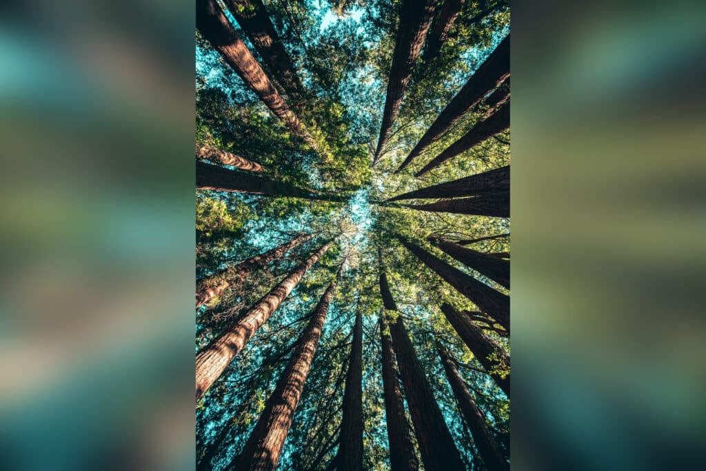 Comment intégrer la durabilité dans votre entreprise ?
