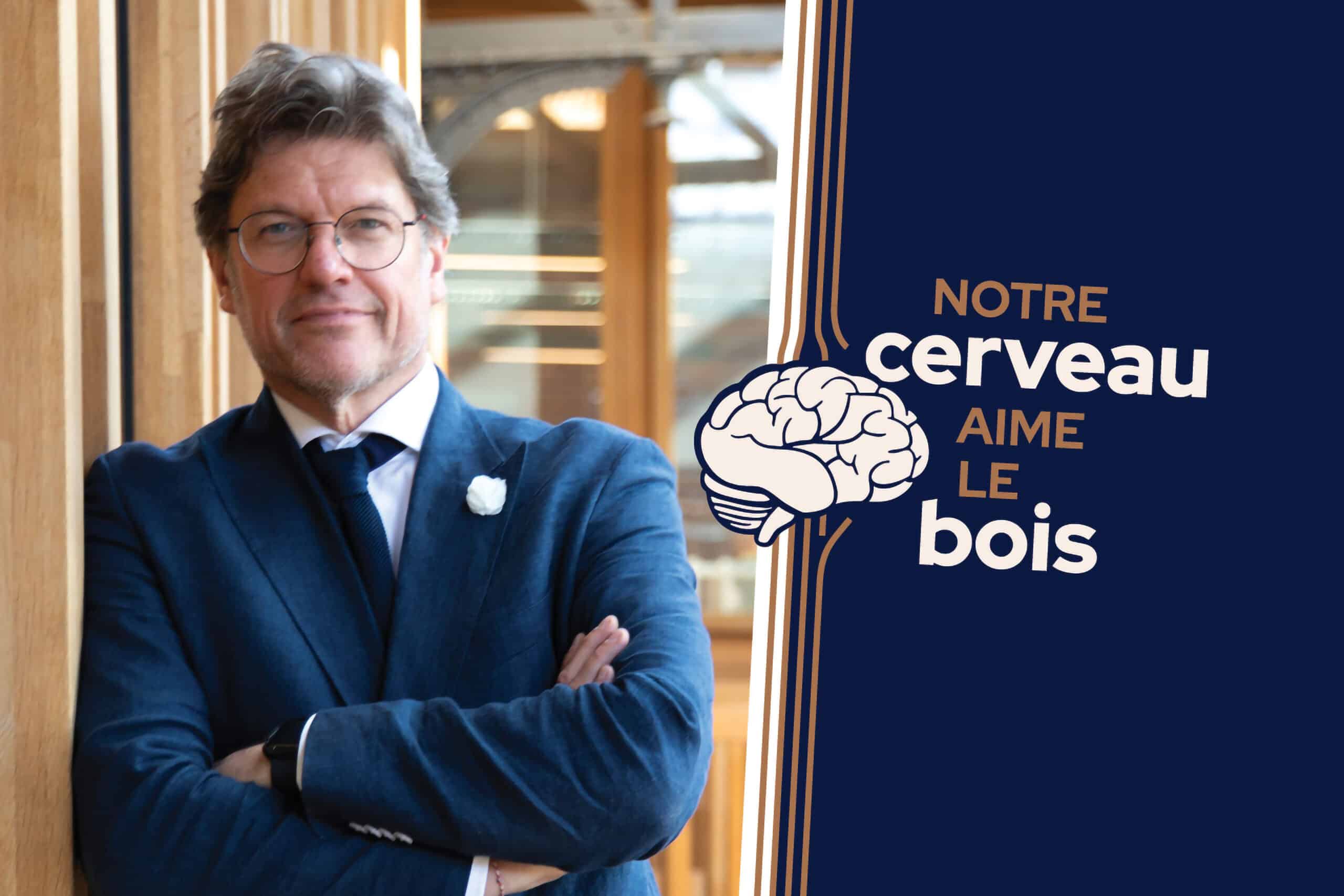 Le bois a un effet positif sur le cerveau 8