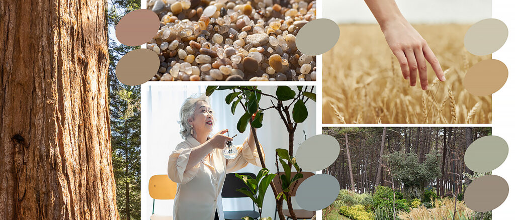 Rénovation rapide, hygiénique et durable des sols souples 3