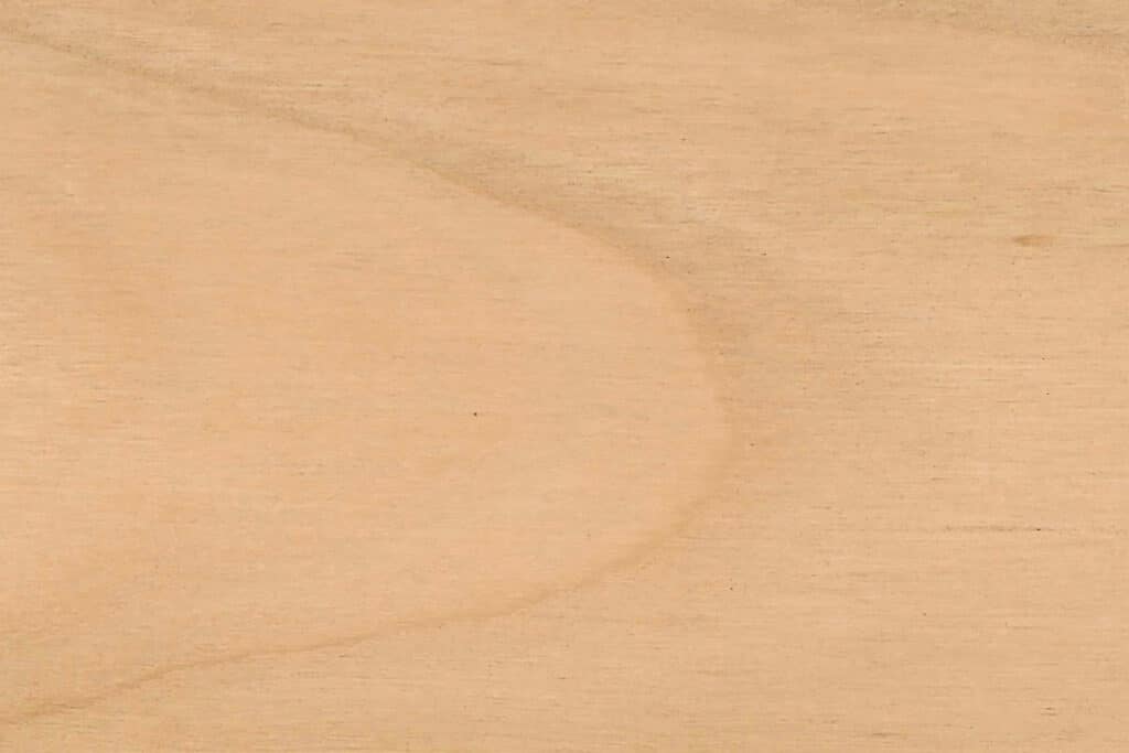 Le cerisier : exclusif, raffiné et polyvalent 3