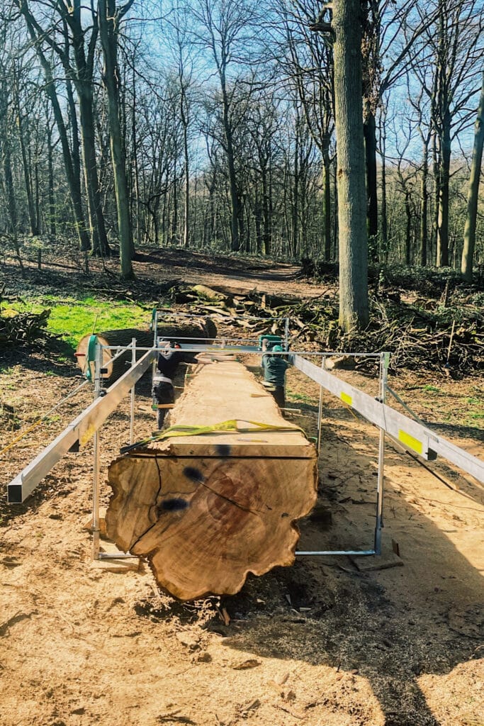 De l’arbre abattu au meuble de caractère 4