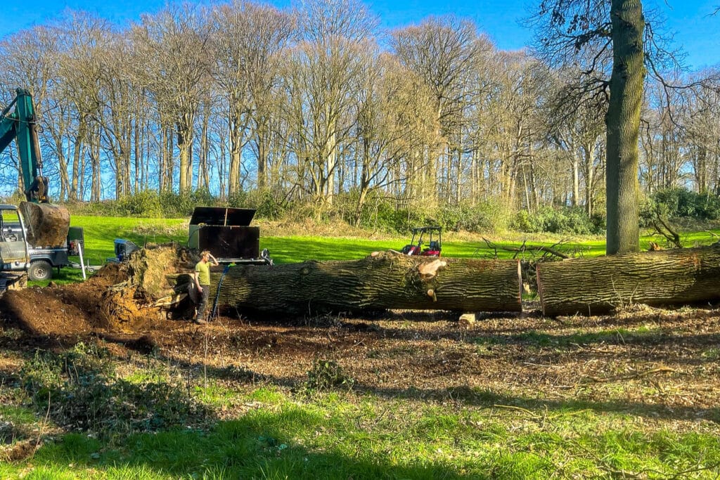 De l’arbre abattu au meuble de caractère 7
